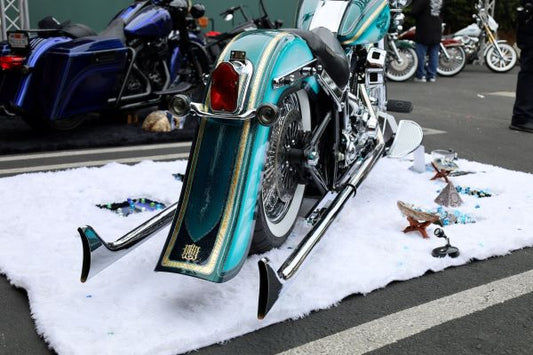 FISHTAIL PIPES SOFTAIL PACKAGE