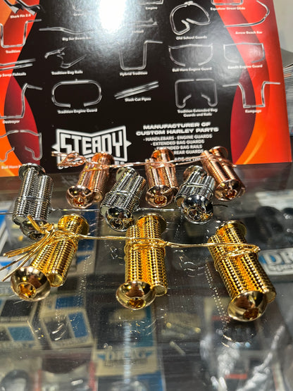 SCC CHROME FENDER BOLT KIT
